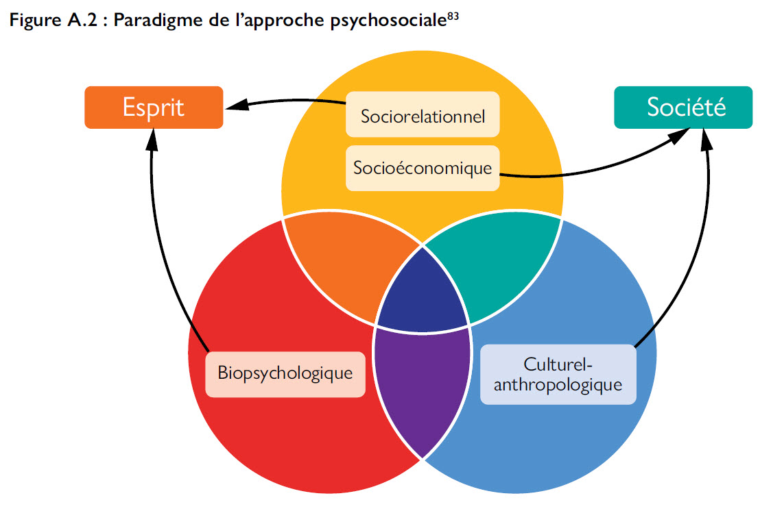 Annexe 1B_FigureA.2 Paradigme de l’approche psychosociale